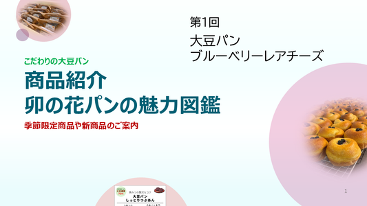 商品紹介　卯の花パンの魅力図鑑　第１回　ブルーベリーレアチーズ